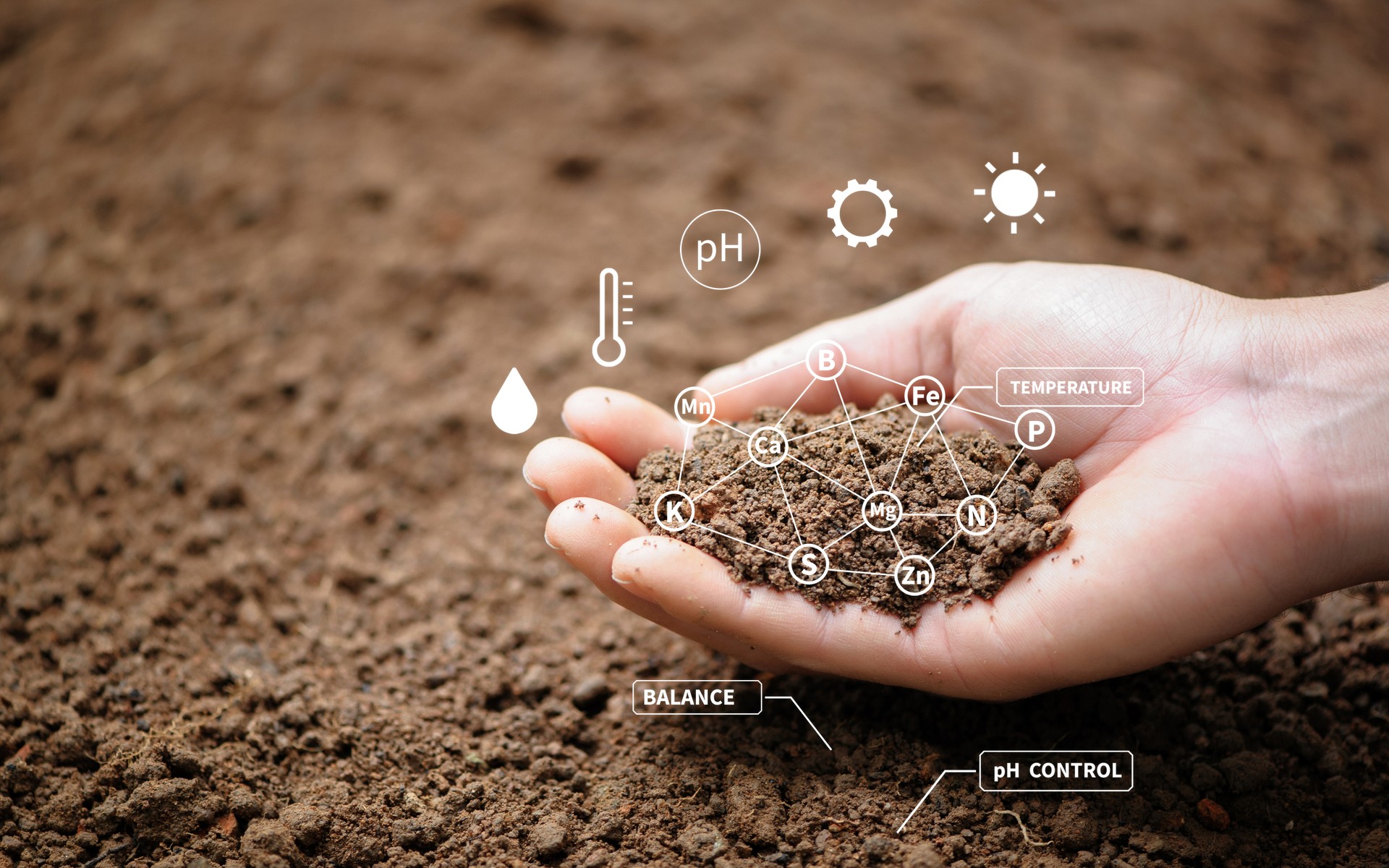 Top view of soil in hands for check the quality of the soil for control soil quality before seed plant. Future agriculture concept. Smart farming, using modern technologies in agriculture"n