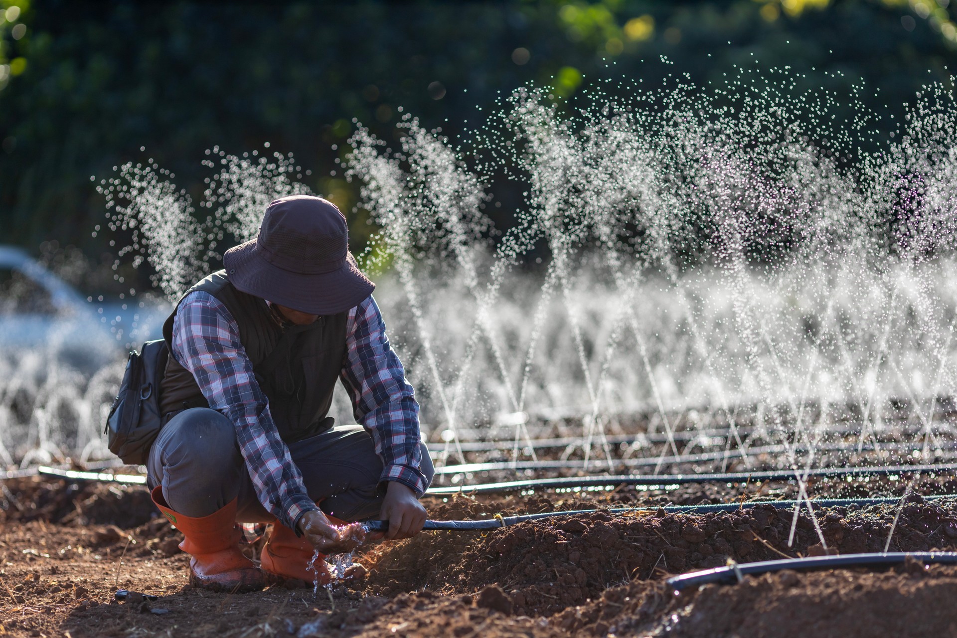 Asian farmer is fixing the clogged in the hose of irrigation watering system  growing organics plant during spring season and agriculture concept